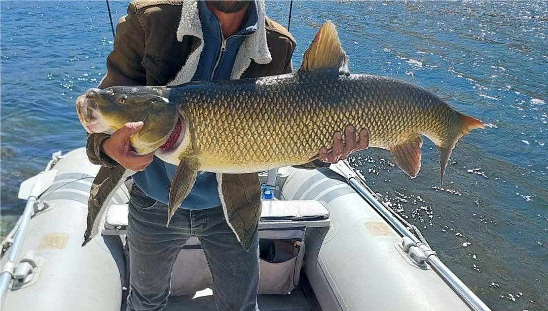 1 metre boyunda 15 kilo oltasina takildi fvgSLRJt