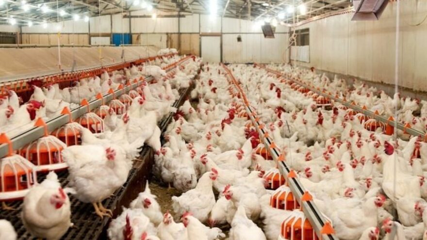 Adana’nın Lades Markası İflas Etti, İcra İhaleye Çıkarıldı