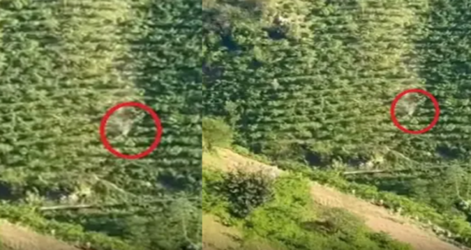 Giresun’da Kamyonetin 400 Metrelik Takla Atışı Korkuttu! Anlar Kamera ile Kaydedildi